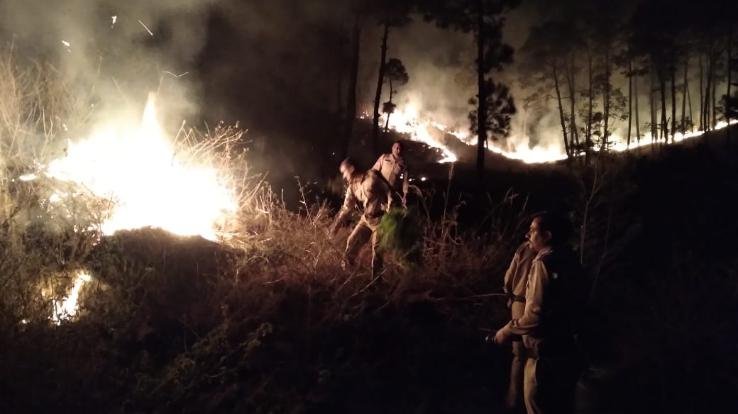 fire-kunihar-forests-16-april-2021