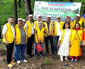 Solan: Plantation program organized by Lions Club