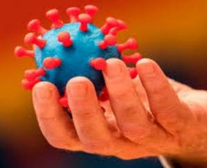 गोबिंदगढ़ मोहल्ला में फिर फूटा कोरोना बम्ब, आए 31 नए मामले