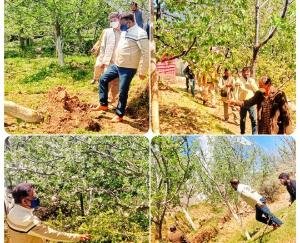 kuldeep-singh-rathore-shimla-himachal-25-april