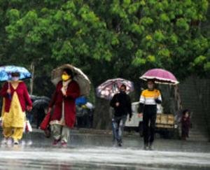  strategy to increase forest based economy