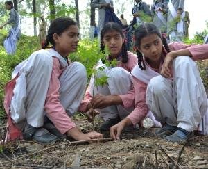 himachal-shimla-2021-may-17