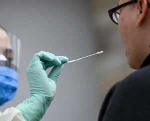 shimla himachal patients recovered from covid 