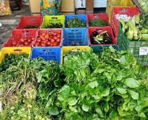 पहाड़ी सब्जियों की बढ़ी देश की मंडियों में डिमांड