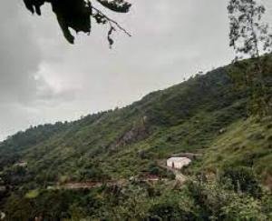 darlaghat-news-update-solan-may-2021-22