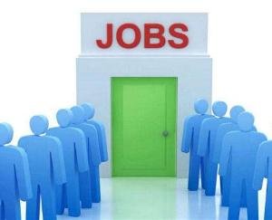 Youth employment program for youth will be organized by District Employment Office, Solan