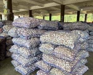 Solan: APMC Solan is ensuring better price for farmers' produce by associating with e-Naam