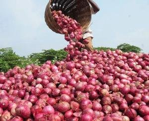 Onion Politics: Whenever the onion woke up, the government fell may 31 2021