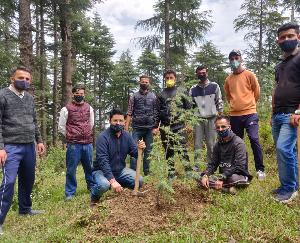 शिलाई: पर्यावरण दिवस के उपलक्ष्य में युवा कांग्रेस शिलाई ने रोपे पौधे, नरेंद्र बरागटा  के निधन पर रखा 2 मिनट का मौन 