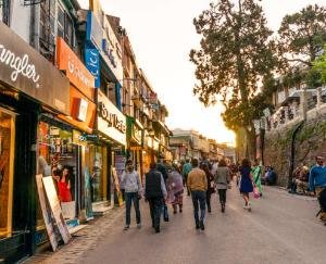 Tourism business is back on track in Himachal Pradesh june 11 2021