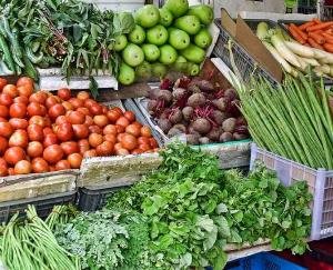 Now packing of fruits and vegetables will be done with new technology in Himachal june 13 2021