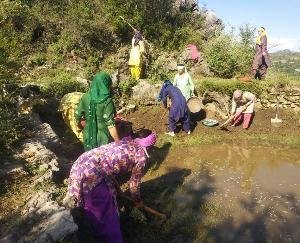 दाड़लाघाट :बनिया देवी महिला मंडल ने चलाया सफाई अभियान