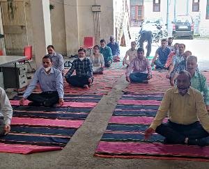 palampur-news-update-june-2021-21