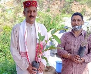 दाड़लाघाट : डॉ श्यामा प्रसाद मुखर्जी की पुण्य तिथि पर किया पौधरोपण