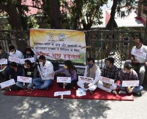 प्रदेश सरकार के खिलाफ NSUI व युवा कांग्रेस ने पूरे प्रदेश के सभी जिला मुख्यालयों मे की दो दिन की संकेतिक भूख हड़ताल