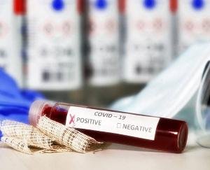 हिमाचल में काेराेना पाॅजिटिविटी दर 1.14 प्रतिशत