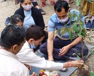 शिमला : वन महोत्सव में लक्कड़ बाजार-क्यार कोटी मार्ग पर लगाए गए 300 देवदार व बान