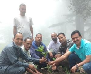 वन परिक्षेत्र दाड़लाघाट के बाड़ीधार परिसर में किया गया पौधरोपण