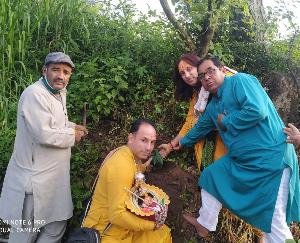 Kunihar: Plantation done in Shri Banke Bihari temple of Pattabaravari