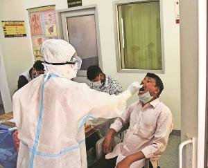 शिमला : प्रदेश में गत सप्ताह कोविड पॉजिटिविटी दर 1.3 प्रतिशत की गई दर्ज