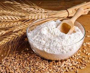 himachal-pradesh-news-update-august-2021