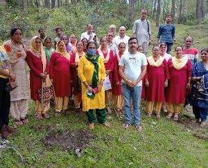 solan himachal darlaghat ghnagughat august 2021 7 