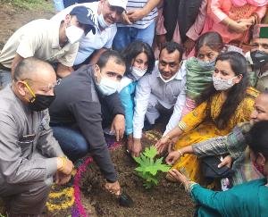 shimla-news-update-august-8-2021