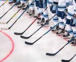 Pinegrove to Sub Junior Hockey Tournament