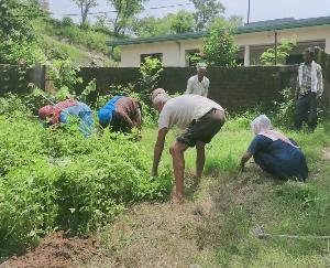 रक्कड़: भरोली-जदीद पंचायत में चलाया गया स्वच्छता अभियान