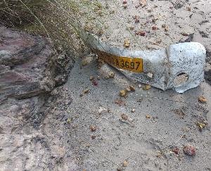 Road accident occurred in Chaupal, one person died, two missing