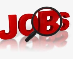 solan job news update 2021 16