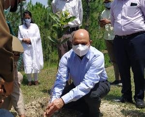 सोलन : जिला विधिक सेवाएं प्राधिकरण द्वारा किया गया पौधरोपण
