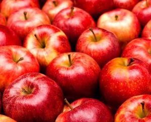 Shimla: Due to the fall in apple prices, the opposition targeted the government, raised this demand