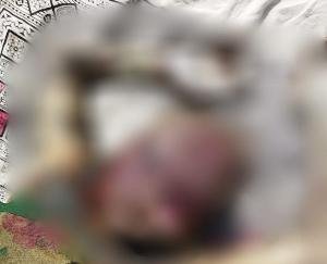 देहरा: पौंग डेम जलरियां में मिला अज्ञात महिला का शव