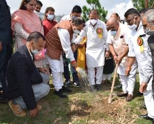 मेहली : वन महोत्सव का उद्देश्य तब तक पूर्ण नहीं होगा जब तक पौधों का संरक्षण सुनिश्चित नहीं होगा - भारद्वाज