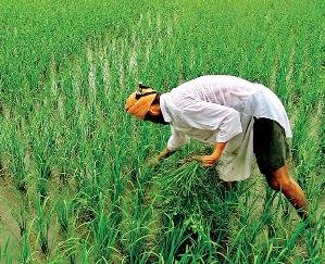 List of distribution of Prime Minister Kisan Samman Nidhi will be done in all the panchayats of the state