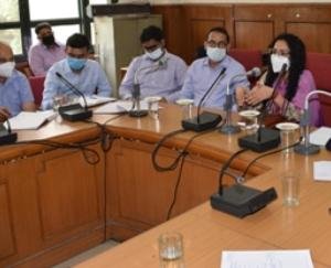 solan-kritika-kulhari