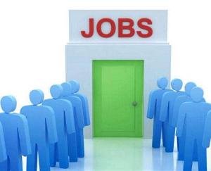 शिमला : रिक्त पदों को भरने के लिए वाक इन इंटरव्यू - क्षेत्रीय रोजगार अधिकारी अंकुष कुमार