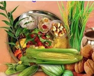 Joginder Nagar: The festival is being celebrated with enthusiasm and pomp