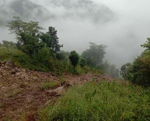  जोगिंदर नगर : बनेहड़ में भूस्खलन से मक्की की फसल तबाह 