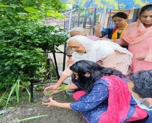 Elders in Solan called for nature conservation by planting saplings