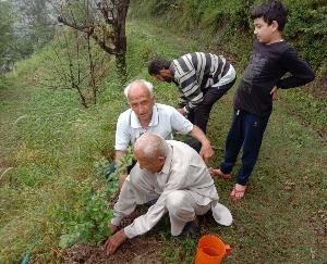 शिमला : 104 और 103 वर्षीय बुजुर्गों ने किया पौधरोपण