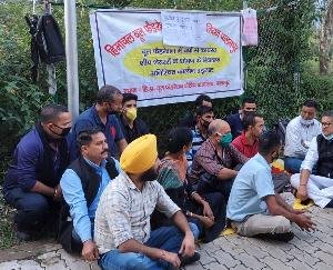 पालमपुर : विधायक ने की हड़ताल पर बैठे Sheep Shearers से मुलाकात