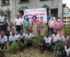 Mandi: NCC cadets planted ornamental saplings in the college campus