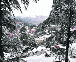 First snowfall in Pangi area, movement will not be possible for six months