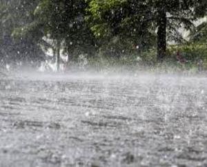 Rain wreaks havoc in Himachal, roads closed in many places, power failure