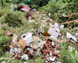Shimla: Truck laden with apples falls into ditch, 3 injured