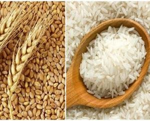 Himachal government will now make direct purchase of wheat and paddy from the farmers of the state