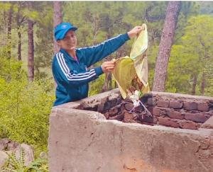 Dadlaghat: Cleanliness drive organized in Government Senior Secondary School, Saryanj