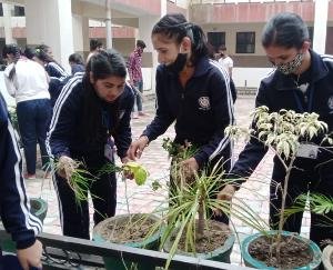 Karsog: Cleanliness campaign launched in the college on Gandhi Jayanti